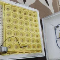 سلام  یک دستگاه جوجه کشی|ماشین‌آلات صنعتی|منوجان, |دیوار