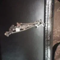 گوشواره نقره