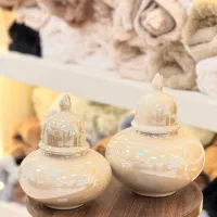 جینجرجار جفتی ۲ عددی لاستر فروش ویژه شروع شد