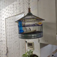 قفس تزیینی گرد بسیار زیبا کاملا سالم