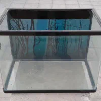 آکواریوم شیشه خم