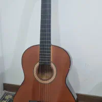 گیتار دیاموند