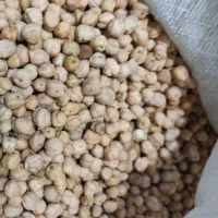 نخود دیمی درشت پاک شده امسال عمده