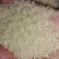 برنج طارم ایرانی ۱۰کیلویی فقط۲۲۰۰