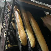 فروش نان باگت شیر مال و کلوچه و بیسکویت