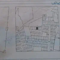 فروش زمین نخلستان