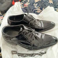 کفش مجلسی|کیف، کفش، کمربند|شیراز, گلشن|دیوار