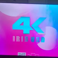 تلویزیون ال ای دی اسنوا 50اینچ 4k|تلویزیون و پروژکتور|اصفهان, دستگرده|دیوار