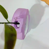 گلجا|مجسمه، تندیس، ماکت|شیراز, وصال|دیوار