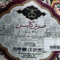 فرش شهیاد|فرش|ایلام, |دیوار