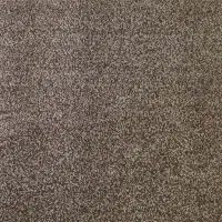 فروش پالاز موکت پرز بلند ( تمیز و شسته شده )