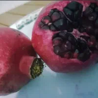 فروش انار اشکفتو دانه سیاه