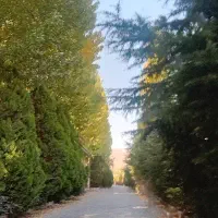 استخدام پرستار  خانم  جهت نگهداری سالمنددر منزل