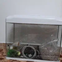 آکواریوم شرکتی