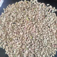 فروش تخصصی مغز پسته