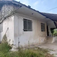 فروش-کلنگی-لاهیجان-توستان-سندتک-برگ