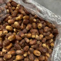 خرما زاهدی بار وانتی