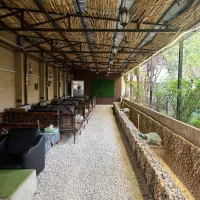 استخدام رستوران