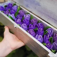 شمع مونالیزا