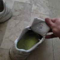 کفش اسپرت 42|کیف، کفش، کمربند|اصفهان, گلزار|دیوار