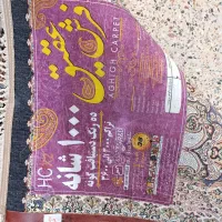 فرش 1000 شانه|فرش|کوهدشت, |دیوار