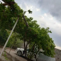 خونه باغ جوپار عباس آباد بعد از کارخانه روغن نباتی|فروش خانه و ویلا|ماهان, |دیوار