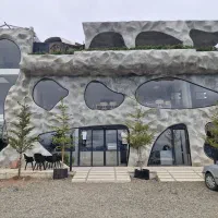 استخدام نیرو