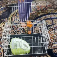 قفس خرگوش و همستر و ...|لوازم جانبی حیوانات|تهران, هرندی|دیوار