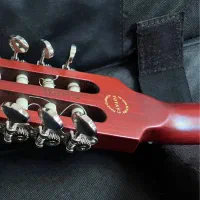 عود گودین|سازهای سنتی|میناب, |دیوار