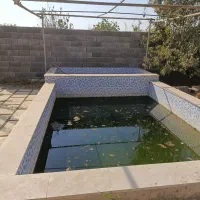 باغ با درخت قدیمی سند دار جیتو تبرئه کشاورزی|فروش خانه و ویلا|پاکدشت, پاکدشت (مامازند)|دیوار