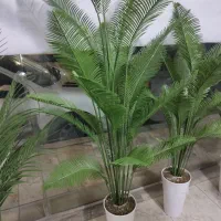 درختچه کنار سالنی