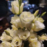 اجاره-مغازه-بر-خیابان-اصلی