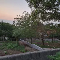 فروش ۲ پلاک مسکونی در شیرگاه (روستای چالی)|فروش زمین و ملک کلنگی|شیرگاه, |دیوار