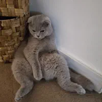 واگزاری پدر و پسر مهربون