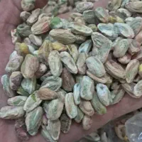 صندوق دار خانم با تجربه