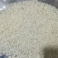 برنج هاشمی|خوردنی و آشامیدنی|سنگر, |دیوار