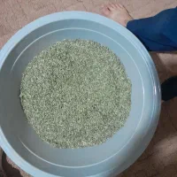 آویشن تاز پاک شده ۶۰۰تومان