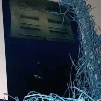 تابلو بیلی ایلیش|تابلو، نقاشی، عکس|گرگان, |دیوار