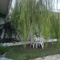 فروش خانه ویلایی ۱۵۰ متری ۲ خوابه در پیل علی باغ|فروش خانه و ویلا|بندر انزلی, پیل علی باغ|دیوار