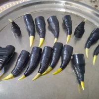 لاری اصل|حیوانات مزرعه|نقده, |دیوار