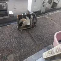 کولر، اسپلیت، پنجره ای|کولر گازی و فنکوئل|گنبد کاووس, |دیوار