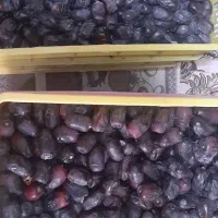 خرما مضافتی بم|خوردنی و آشامیدنی|تهران, منیریه|دیوار