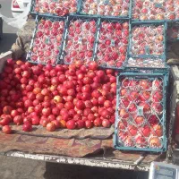 انار آبگیری به شرط