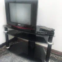 تلویزیون