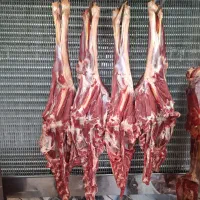 گوشت گوسفندی