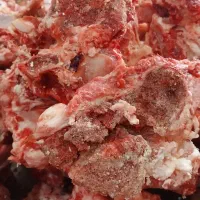 استخوان گوشتی ۱۸۰تومان