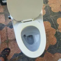 فروش یک عدد توالت فرنگی آرمیتاژ درحدنو|لوازم سرویس بهداشتی|شیراز, قلعه نو|دیوار