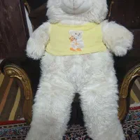خرس سایزبزرگ تمیزتمیز