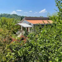 اجاره-روزانه-ویلای-لوکس-دو-خوابه-جنگلی-محیطی-ارام