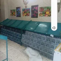لوازم مغازه میوه فروشی کامل با میز دخل